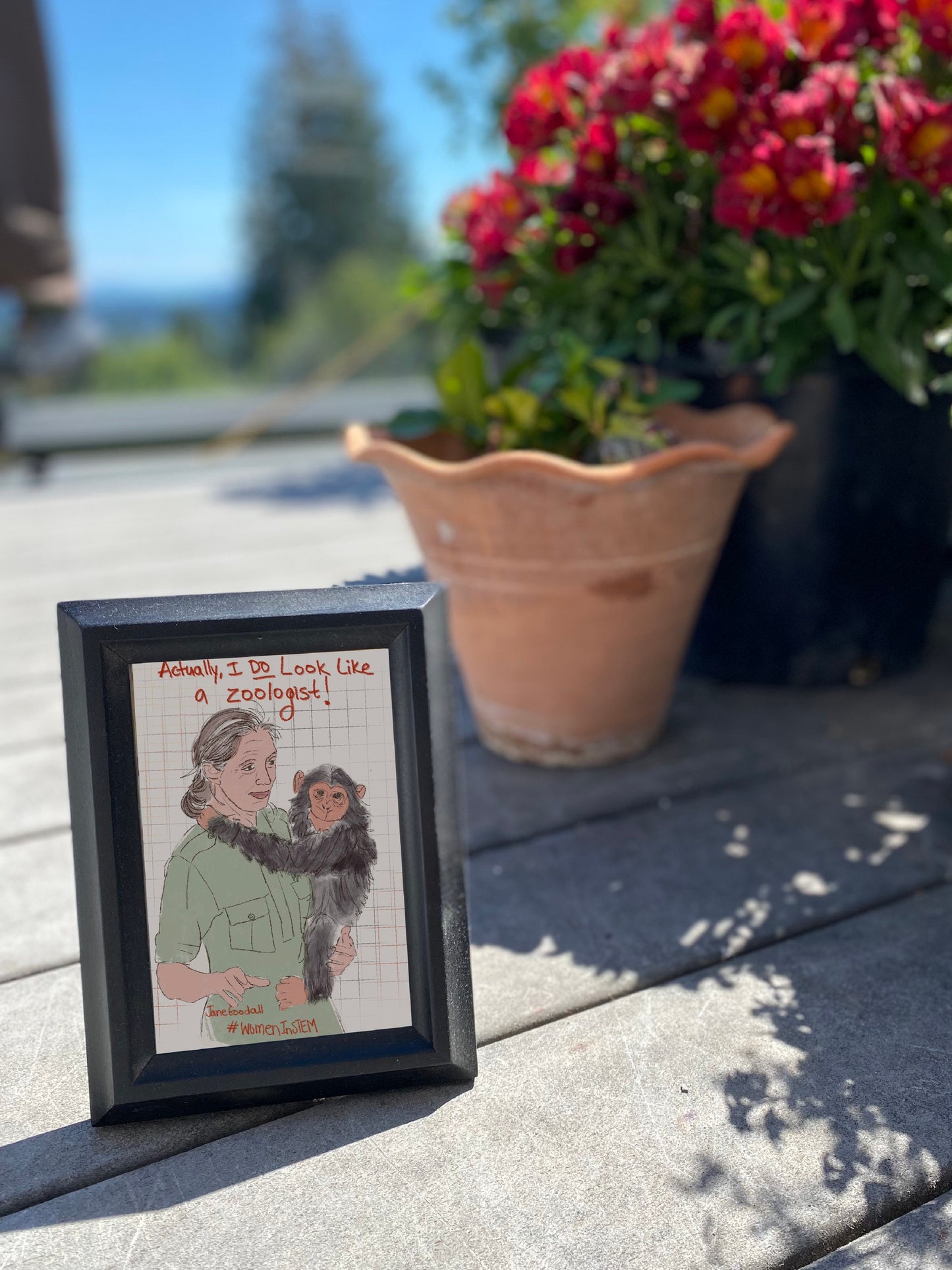 STEMinist Portraits: Jane Goodall, Zoologist