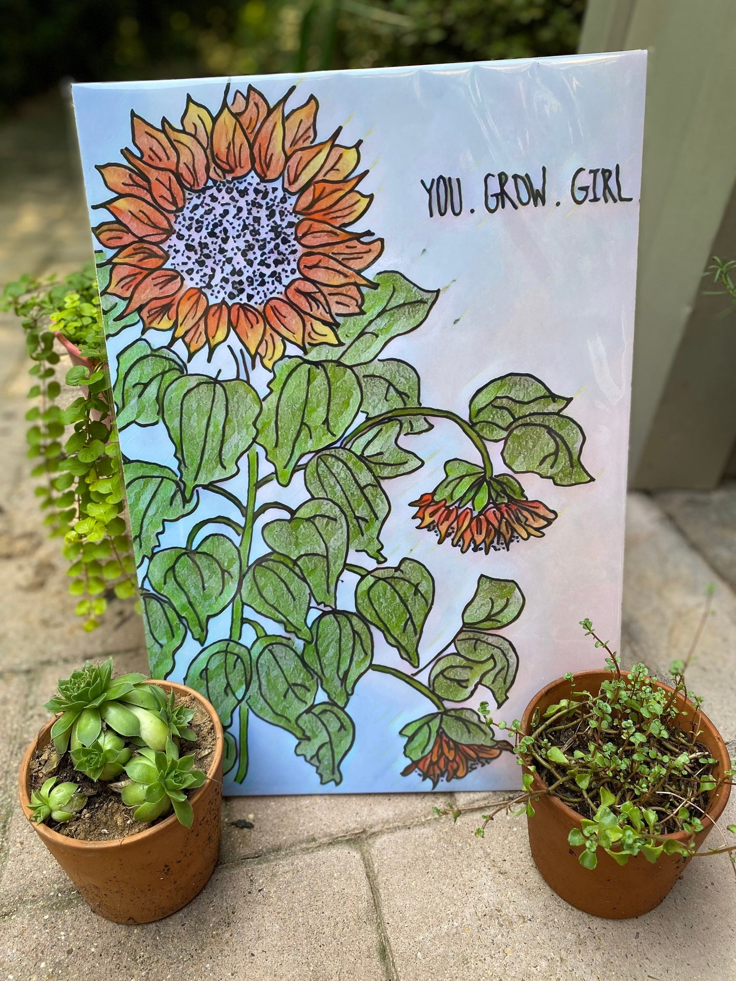 You grow girl! Feminist digital art and starionary